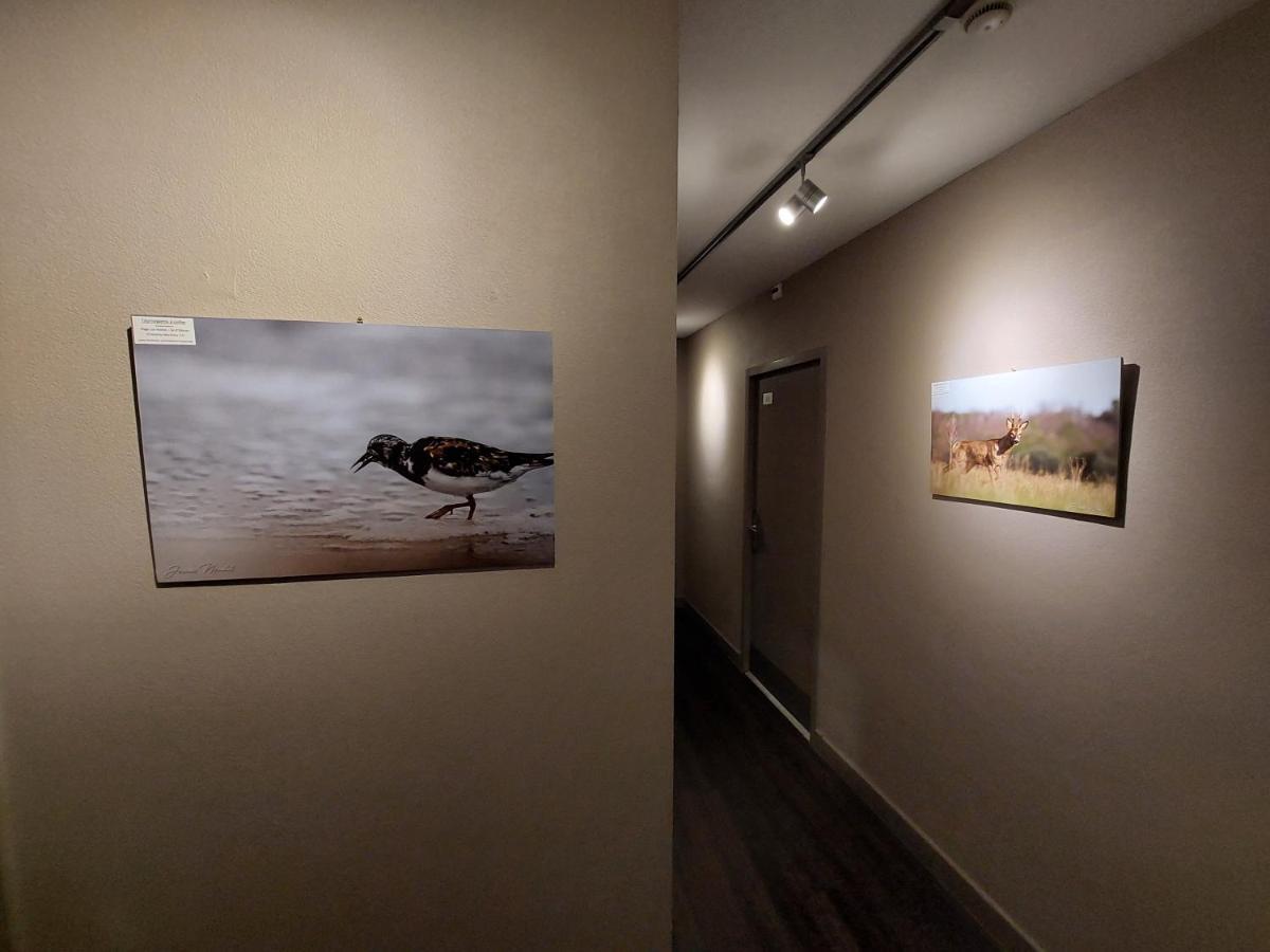Logis Hotel - Les Pasteliers Lavaur  Exteriér fotografie